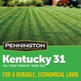 thumbnail image 3 of Pennington Kentucky 31 Tall Fescue Grass Seed 50 lbs., 3 of 8