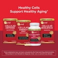 thumbnail image 6 of Qunol Cellular Energy NAD+ 90ct Bottle, 6 of 14