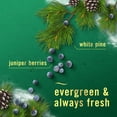 thumbnail image 9 of Febreze PLUG Air Freshener, Winter Pine & Juniper Berry & Cuddle Weather, 1 Warmer + 5 Refills, 4.35 fl. oz., 9 of 10