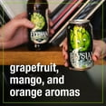 thumbnail image 4 of Elysian Space Dust IPA Ale Beer, 12 fl. oz. bottle, 12 pk., 4 of 6