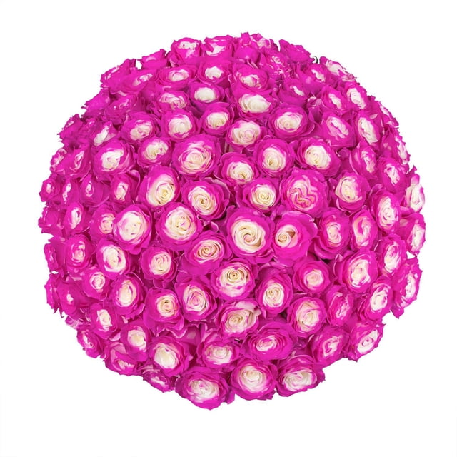 Member's Mark Illusion Roses, choose color and stem count:- 100, Hot Pink