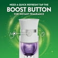thumbnail image 9 of Air Wick Plug In Scented Oil Air Freshener, Lavender & Chamomile, Choose Pack, 9 of 11