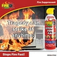 thumbnail image 6 of Fire Gone 16 oz Fire Extinguishing Spray-2 pack, 6 of 7