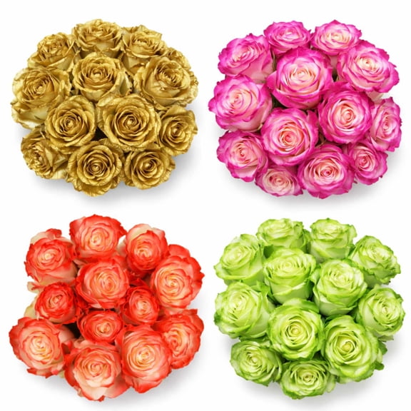 Member's Mark Illusion Roses, 12 stems
