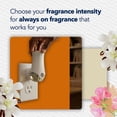thumbnail image 10 of Glade PlugIns Scented Oil, Cashmere Woods with Sheer Vanilla Embrace, 1 Warmer + 9 Refills, 10 of 10