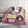 thumbnail image 2 of Logo Brands Florida State Seminoles 60"x70" Super Plush Blanket, 2 of 6
