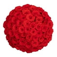 thumbnail image 1 of Member's Mark Ecuadorian Premium Roses, choose color variety and stem count, 1 of 6