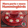 thumbnail image 6 of Pennington Hummingbird Feeder and Nectar Kit, 6 of 9