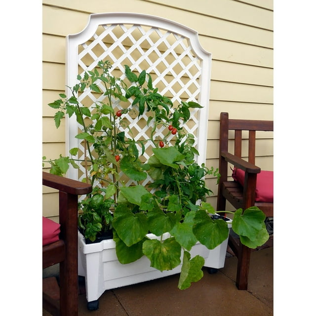 Calypso Self-Watering Planter with Trellis and Wheels, Various Colors