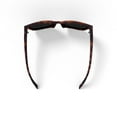 thumbnail image 4 of O'Neill ONS-9034 Polarized Butterfly Sunglasses, 4 of 6