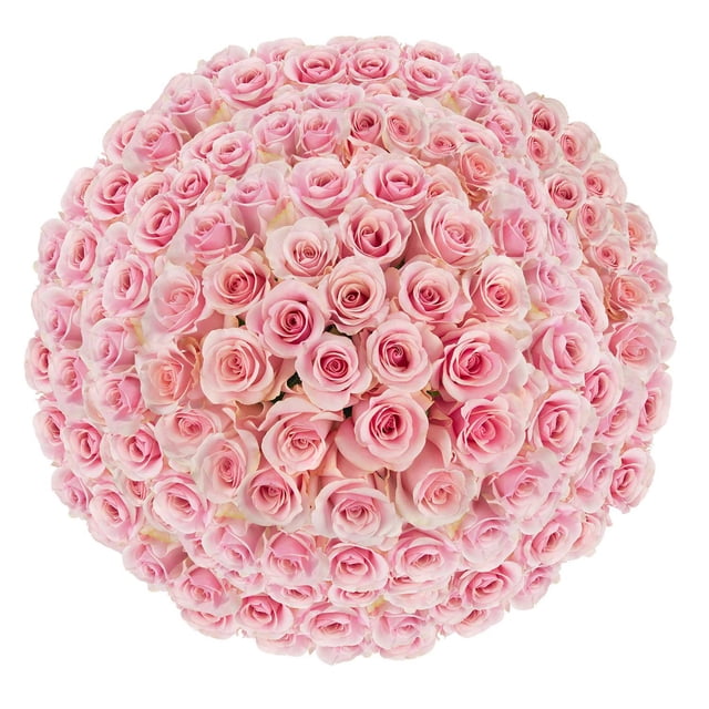 Member's Mark Ecuadorian Premium Roses, choose color variety and stem ...