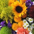 thumbnail image 2 of Member's Mark Mixed Farm Bouquets, 10 pk., choose variety, 2 of 4