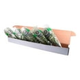 thumbnail image 5 of Member's Mark Gypsophila, choose variety and quantity, 5 of 5