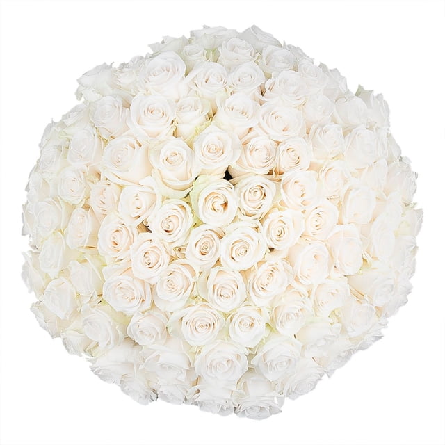 Member's Mark Roses, choose color and stem count