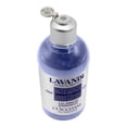 thumbnail image 4 of L'Occitane Lavender Shower Gel, 8.4 fl. oz., 4 of 4