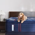thumbnail image 12 of Sealy Posturepedic Elite Albany Soft Euro Pillow Top Mattress, 12 of 12