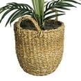 thumbnail image 4 of Faux 60" Areca Palm in Boho-Style Handled Basket, 4 of 6