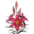 thumbnail image 2 of Member's Mark Oriental Trumpet Lilies, Choose color and stem count, 2 of 5