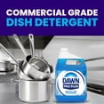 thumbnail image 6 of Dawn Professional Plus Manual Pot & Pan Dish Detergent, 1 gal., 6 of 10