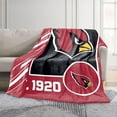 thumbnail image 2 of Logo Brands Arizona Cardinals 60"x70" Super Plush Blanket, 2 of 6
