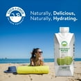 thumbnail image 5 of Coco & Coco Coconut Water 11.1 oz., 12 pk., 5 of 5
