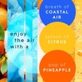 thumbnail image 4 of Glade PlugIns Scented Oil, Coastal Citrus Sunshine with Sky & Sea Salt, 1 warmer + 9 refills, 4 of 10