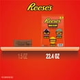 thumbnail image 4 of REESE'S Big Cup Assorted Flavored Peanut Butter Cups Candy, 16 pcs., 4 of 8