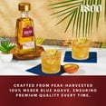 thumbnail image 2 of 1800 Reposado Tequila, 1.75 L, 2 of 4