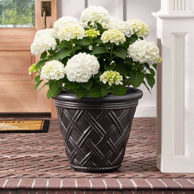 Member's Mark 22" Garden Planter