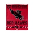 thumbnail image 1 of Logo Brands Port Huron High School 60"x70" Super Plush Blanket, 1 of 7