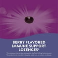 thumbnail image 3 of Sambucus Elderberry Throat Lozenges with Vitamin C and Zinc, 120 ct., 3 of 11
