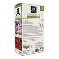 thumbnail image 2 of Member's Mark Clematis Bees Jubilee & Niobe Dormant Bulbs, 3pk, 2 of 10