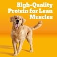 thumbnail image 3 of Pedigree Adult Roasted Chicken and Vegetable Dry Dog Food, 50 lbs. Bag, 3 of 12