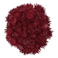 thumbnail image 1 of Member's Mark Painted Mums,  choose color and stem count, 1 of 6