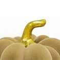 thumbnail image 4 of Member's Mark Flocked Pumpkins, Set of 3, 4 of 4