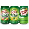 thumbnail image 3 of Canada Dry Ginger Ale Summer Variety Pack 12 fl. oz., 36 pk., 3 of 4
