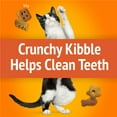 thumbnail image 6 of Friskies Party Mix Party Variety Pack, Cat Treats, 60 oz., 6 of 9