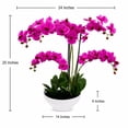 thumbnail image 5 of Artificial 20" Orchid in White Ceramic Planter, Assorted Colors, 5 of 5