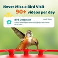 thumbnail image 3 of Birdfy Smart Hummingbird Feeder, 3 of 7