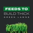 thumbnail image 4 of Scott's Turf Builder Triple Action1, 40 lbs., 4 of 11