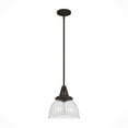 thumbnail image 2 of Hunter Cypress Grove with Clear Holophane Glass 1 Light Pendant Ceiling Light Fixture, 2 of 8