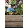 thumbnail image 6 of Keter Signature Collection 29 Gal. Resin Elevated Garden Bed, 6 of 9