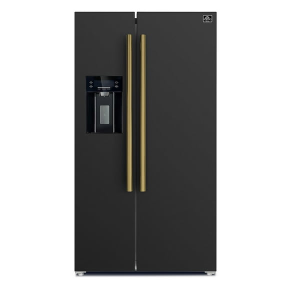 Salerno 20 cu. ft. Side-by-Side Refrigerator with Ice & Water Dispenser