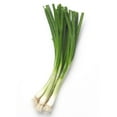 thumbnail image 1 of Green Onions (1 lb.), 1 of 1