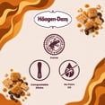 thumbnail image 7 of Haagen-Dazs Salted Caramel Graham Mini Ice Cream Bars, 20 ct., 7 of 9