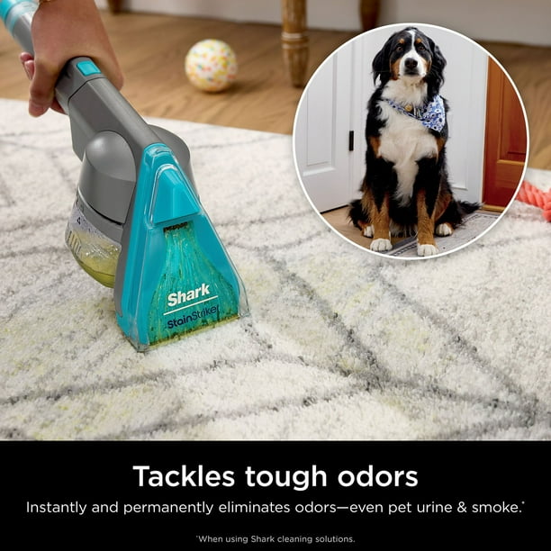 Shark CarpetXpert HairPro with StainStriker Carpet & Upholstery