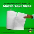 thumbnail image 3 of Bounty Select-A-Size 2-Ply Paper Towels, 12 Rolls, 110 sheets/roll, 3 of 9