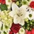 thumbnail image 7 of Member's Mark Christmas Premium Bouquet, variety and colors may vary, 7 of 7