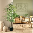 thumbnail image 3 of Faux 72" Olive Tree in Black Plastic Pot, 3 of 5