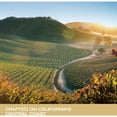 thumbnail image 6 of Justin Sauvignon Blanc, 750 ml, 6 of 10